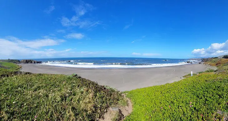 12 Best Beaches in Bodega Bay, CA