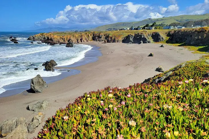 12 Best Beaches in Bodega Bay, CA