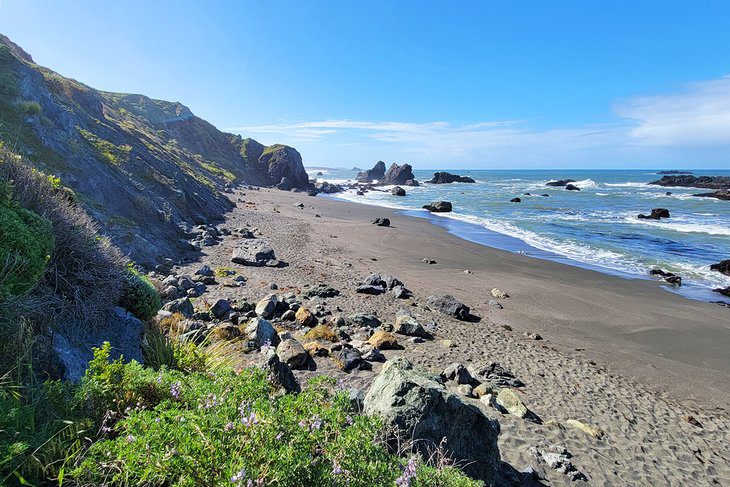 12 Best Beaches in Bodega Bay, CA