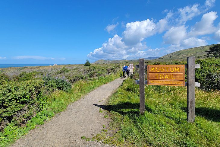 12 Best Beaches in Bodega Bay, CA