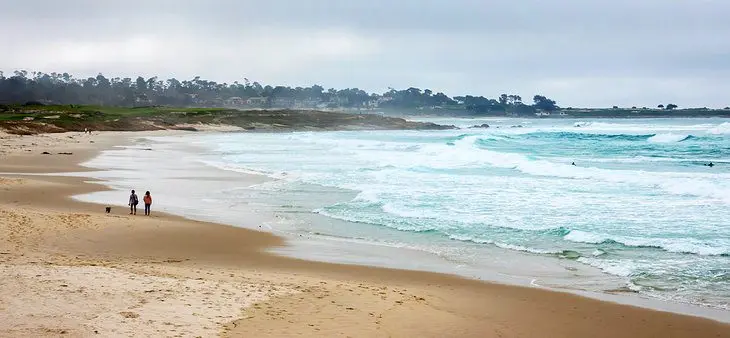 12 Best Beaches in Monterey, CA