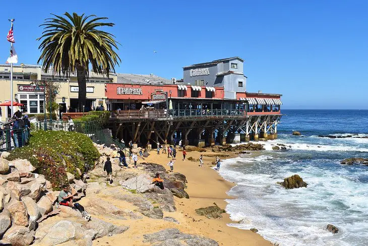 12 Best Beaches in Monterey, CA