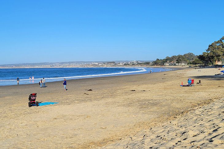 12 Best Beaches in Monterey, CA