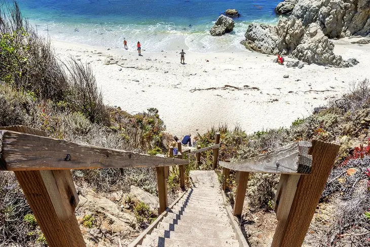 12 Best Beaches in Monterey, CA