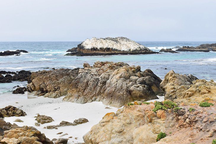 12 Best Beaches in Monterey, CA