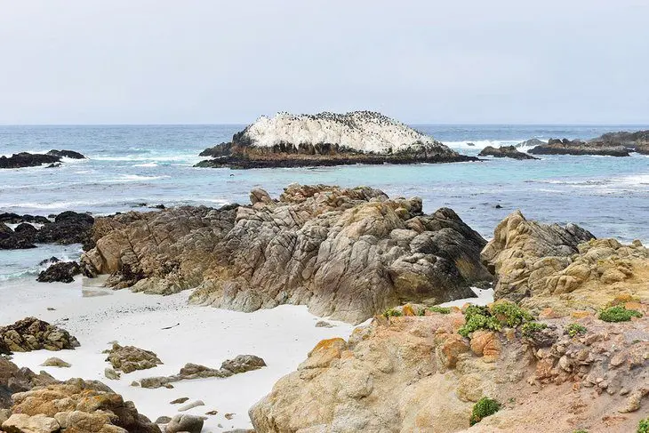 12 Best Beaches in Monterey, CA