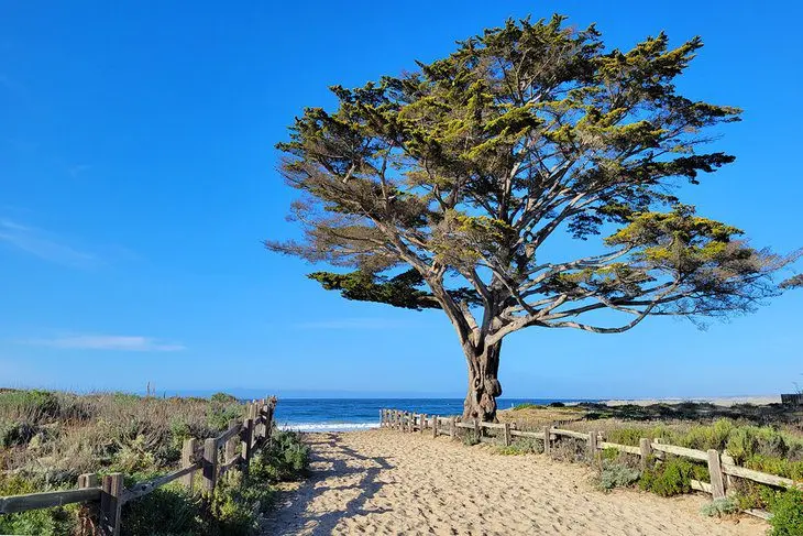 12 Best Beaches in Monterey, CA