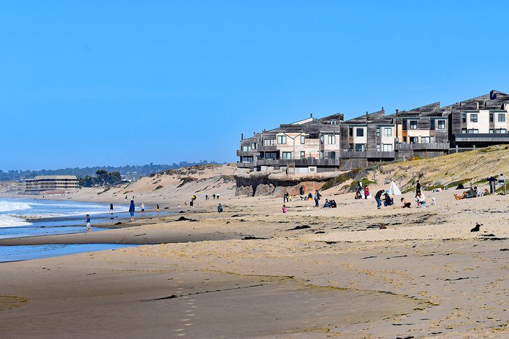 12 Best Beaches in Monterey, CA