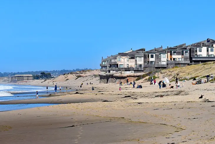 12 Best Beaches in Monterey, CA