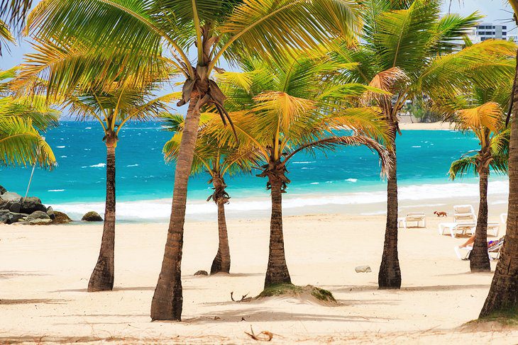 12 Best Beaches in Puerto Rico