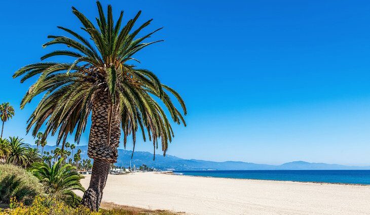 12 Best Beaches in Santa Barbara, CA