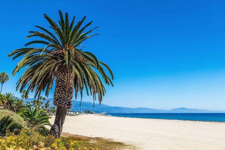 12 Best Beaches in Santa Barbara, CA