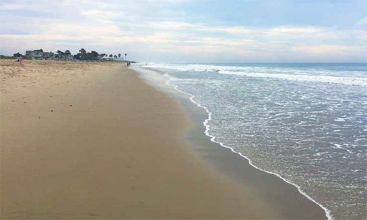 12 Best Beaches in Santa Barbara, CA