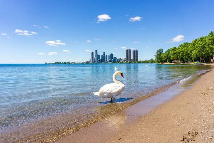 12 Best Beaches in Toronto