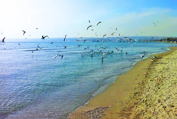 12 Best Beaches near Istanbul