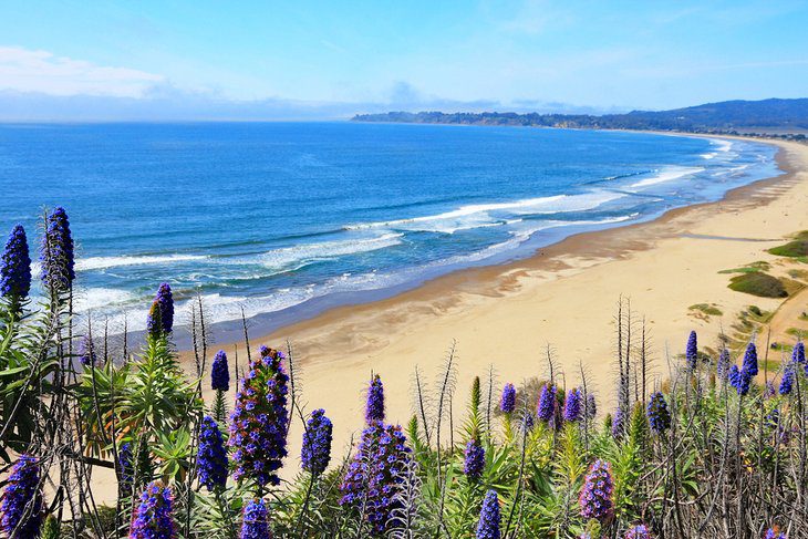 12 Best Beaches near Sacramento, CA