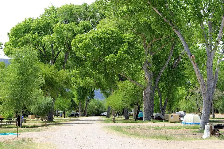 12 Best Campgrounds at Big Bend National Park