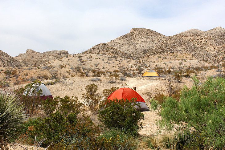 12 Best Campgrounds at Big Bend National Park