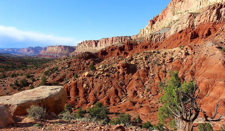 12 Best Campgrounds near Capitol Reef National Park