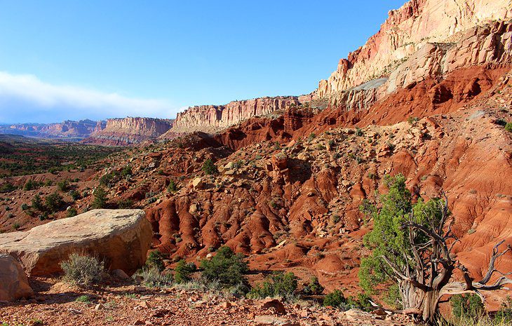 12 Best Campgrounds near Capitol Reef National Park