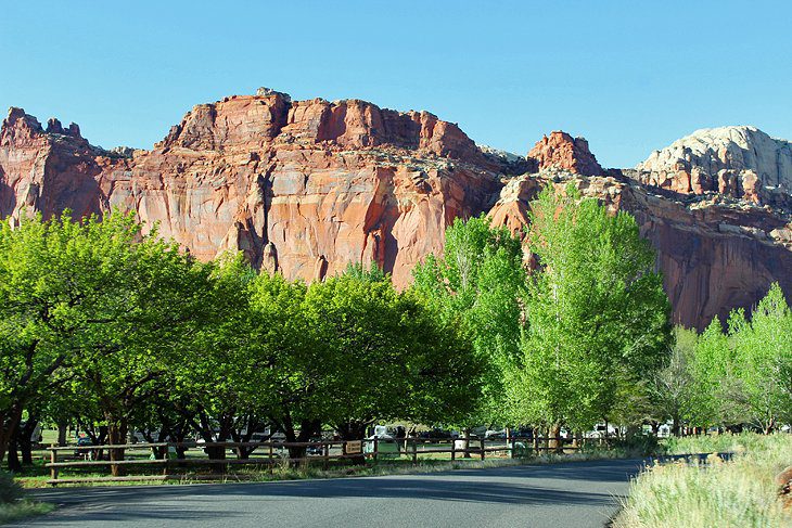 12 Best Campgrounds near Capitol Reef National Park