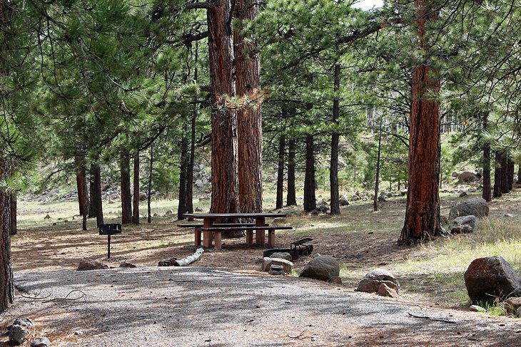 12 Best Campgrounds near Capitol Reef National Park