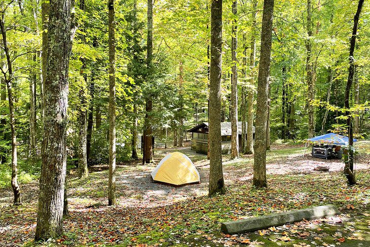 12 Best Campgrounds near Gatlinburg, TN