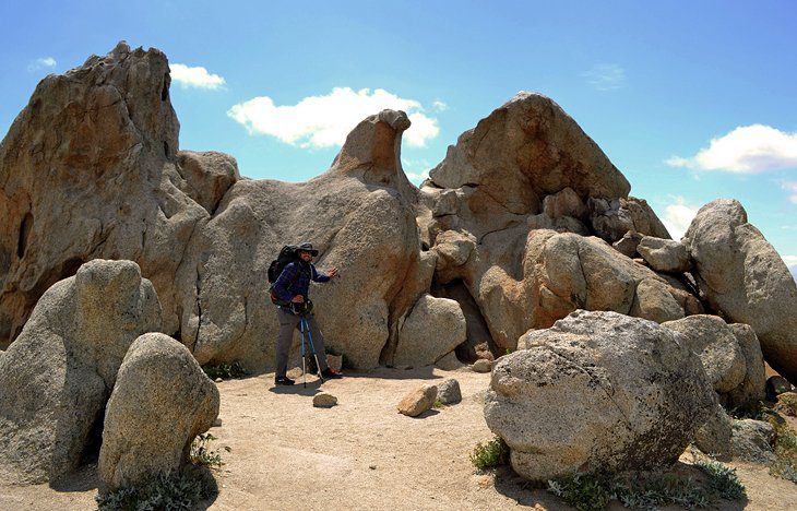 12 Best Day Hikes on the Pacific Crest Trail