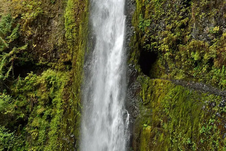 12 Best Day Hikes on the Pacific Crest Trail