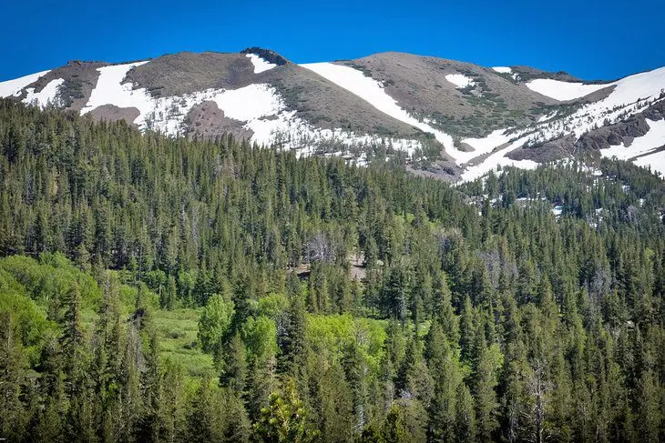 12 Best Day Hikes on the Pacific Crest Trail