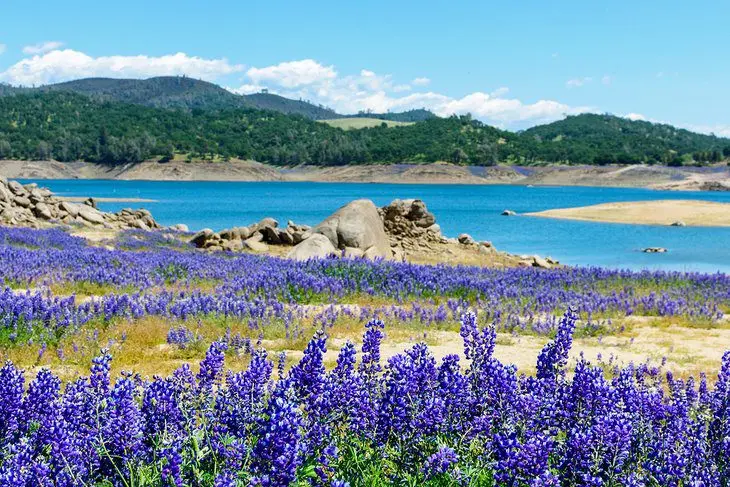 12 Best Day Trips from Sacramento