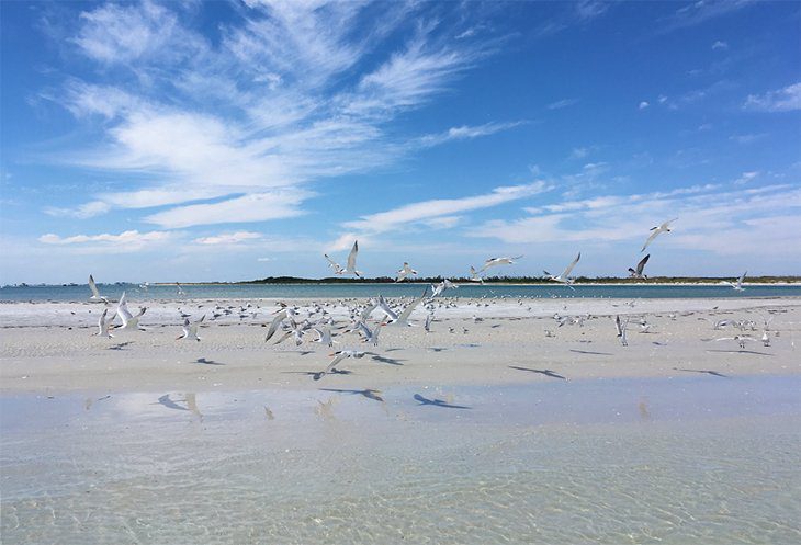 12 Best Florida Beaches for Families