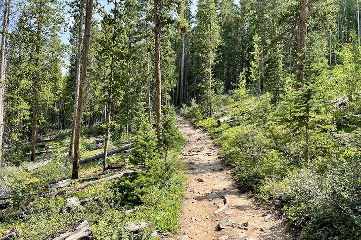 12 Best Hikes in Breckenridge, CO