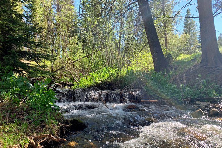 12 Best Hikes in Breckenridge, CO