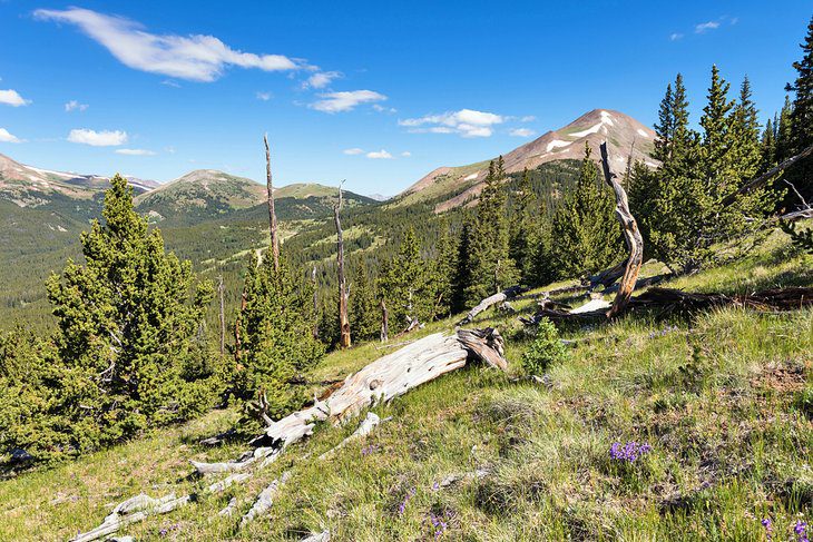 12 Best Hikes in Breckenridge, CO