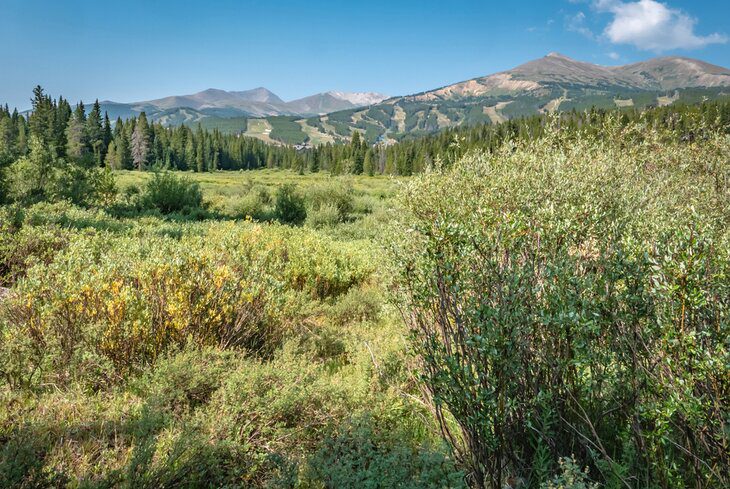 12 Best Hikes in Breckenridge, CO