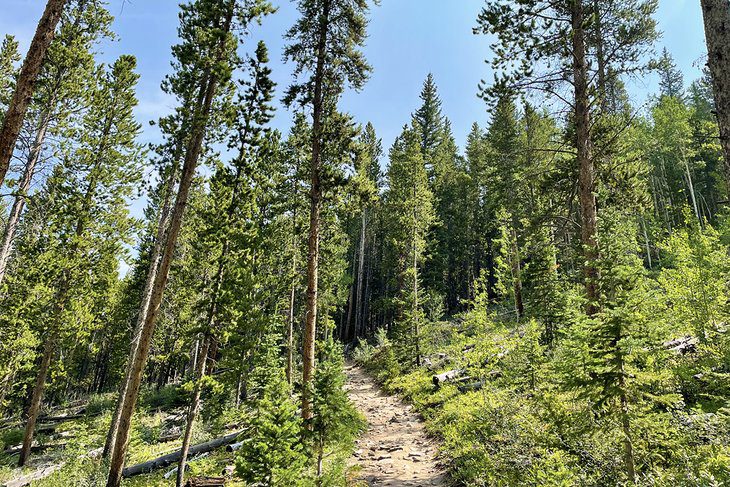 12 Best Hikes in Breckenridge, CO