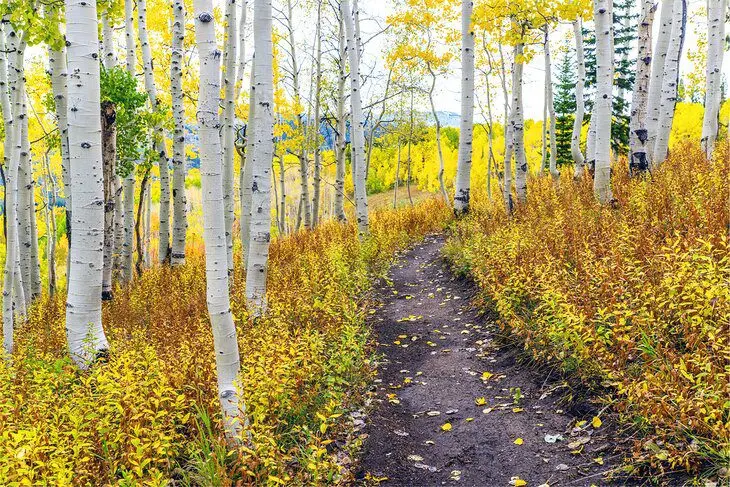 12 Best Hikes in Steamboat Springs, CO