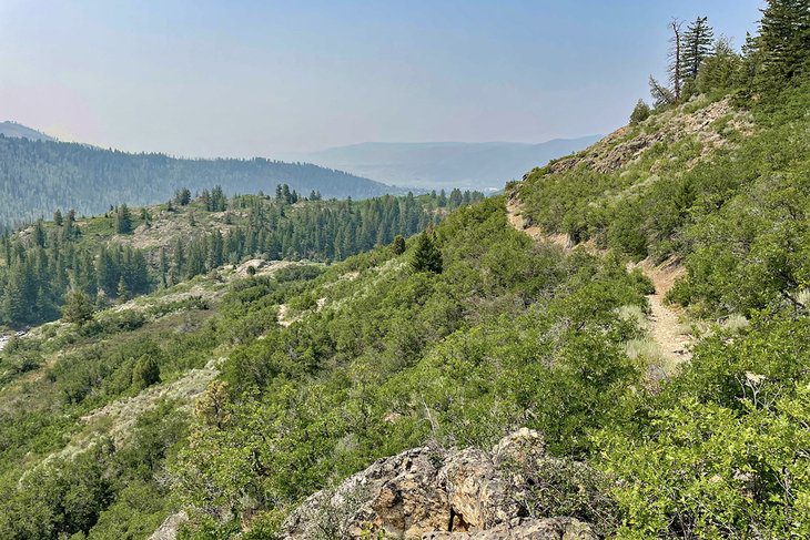 12 Best Hikes in Steamboat Springs, CO