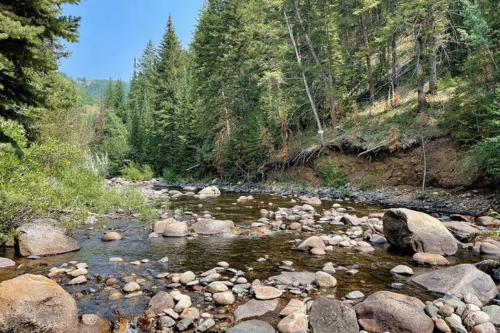 12 Best Hikes in Steamboat Springs, CO