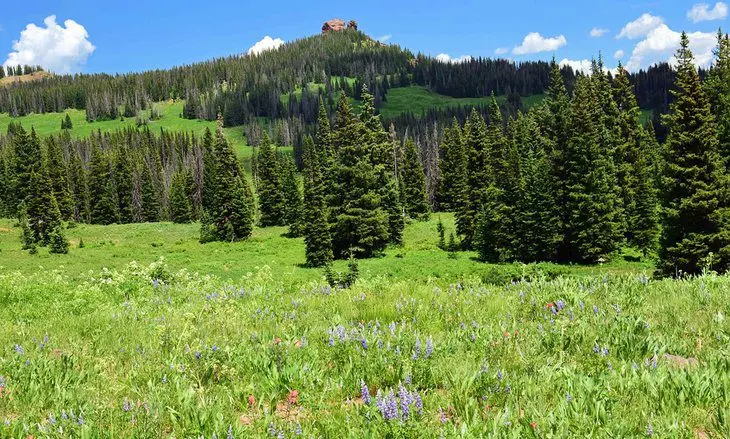 12 Best Hikes in Steamboat Springs, CO