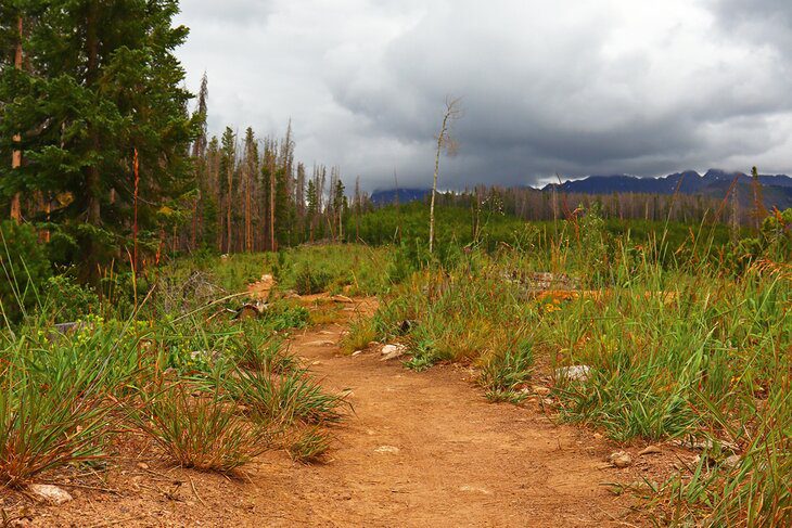 12 Best Hikes in Vail, CO