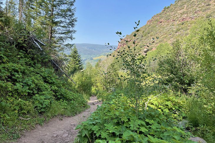 12 Best Hikes in Vail, CO