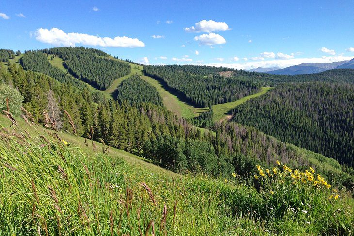 12 Best Hikes in Vail, CO