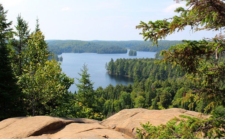 12 Best Hiking Trails in Algonquin Provincial Park