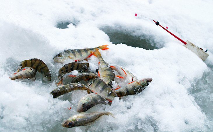 12 Best Ice Fishing Lakes in Ohio