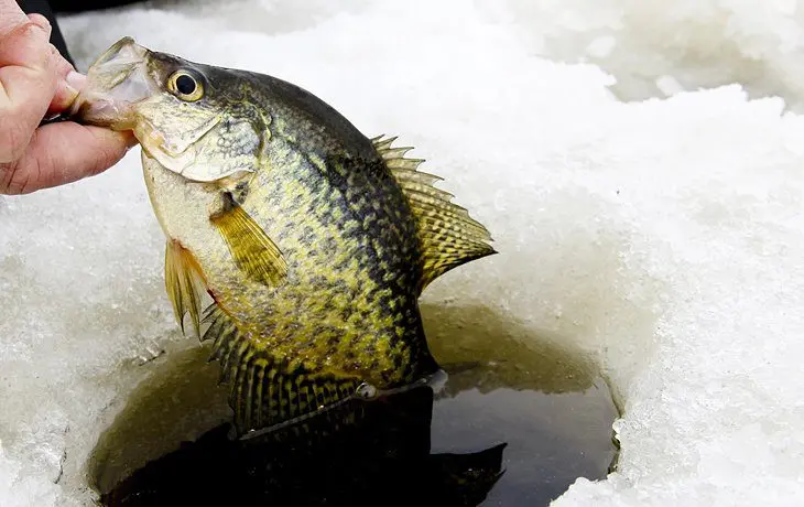 12 Best Ice Fishing Lakes in Ohio