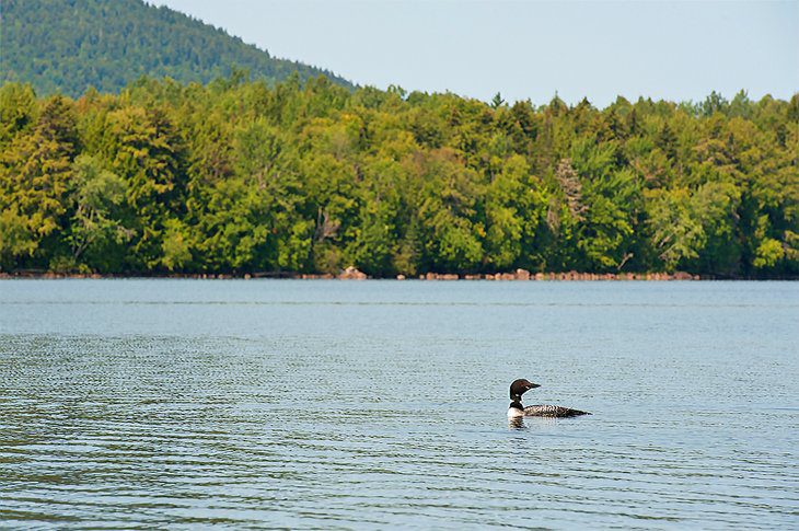 12 Best Lakes in New Hampshire