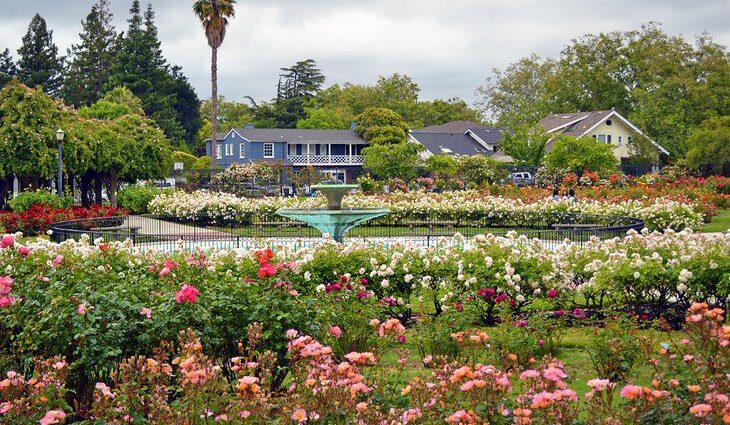 12 Best Parks in San Jose