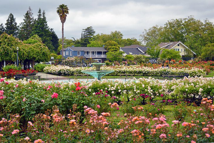 12 Best Parks in San Jose